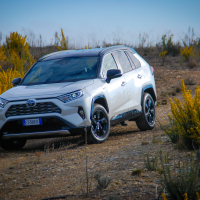 Toyota_RAV4_hybrid_AMZS_za_volanom (14 of 31).jpg