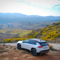 Toyota_RAV4_hybrid_AMZS_za_volanom (12 of 31).jpg