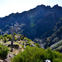 Madeira potopis AMZS (9 of 9).jpg