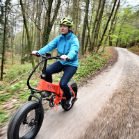 Mate bike X (11 of 11).jpg