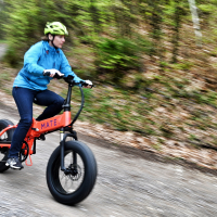 Mate bike X (10 of 11).jpg
