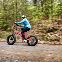 Mate bike X (9 of 11).jpg