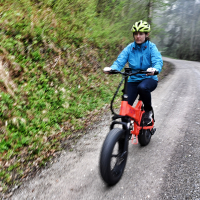 Mate bike X (7 of 11).jpg