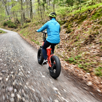 Mate bike X (6 of 11).jpg