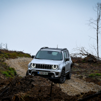 Jeep renegade AWD (4 of 11).jpg