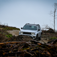 Jeep renegade AWD (3 of 11).jpg