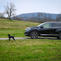 Honda CR-V hybrid 2.0 i-MMD AWD (7 of 24).jpg
