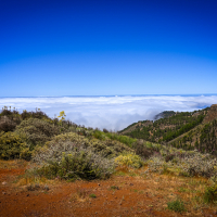 VW_grand_california_resize (84 of 114).jpg