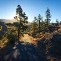 VW_grand_california_resize (12 of 114).jpg