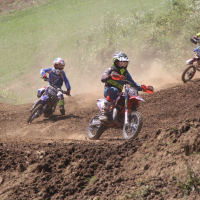 02 Gal Geršak EMX65.jpg