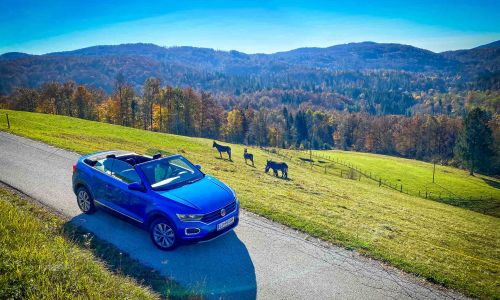 VW T-roc: križanec in kabriolet za vse letne čase?