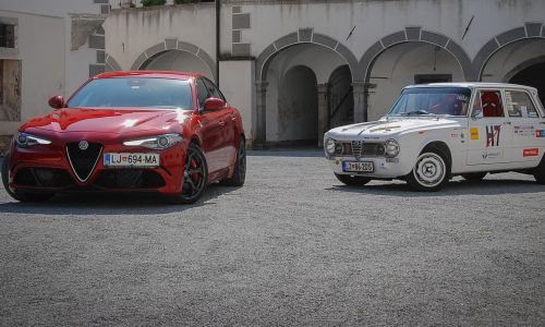 Alfa samici
