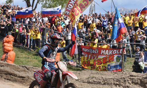 Gajser v Italiji obnorel slovenske navijače